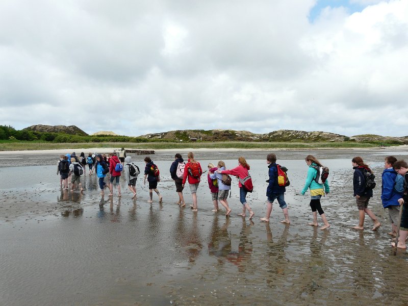Gaensemarsch ins Schlickwatt.JPG